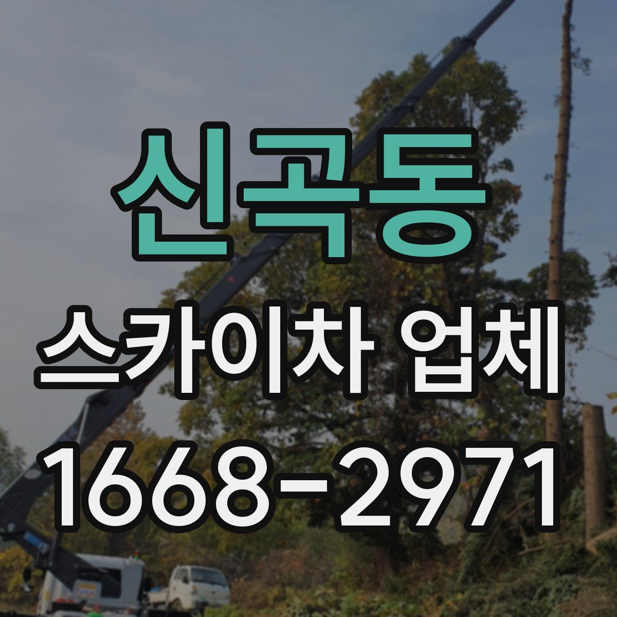 신곡동 스카이차 업체