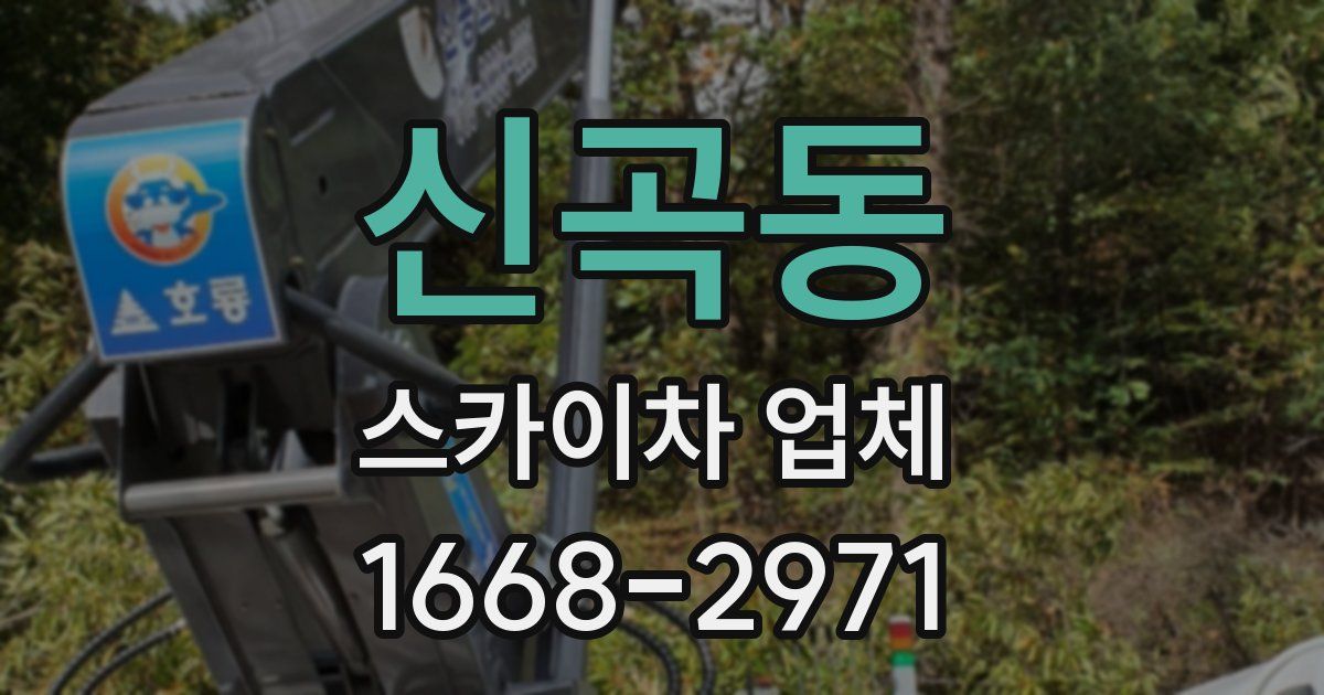 신곡동 스카이차 업체