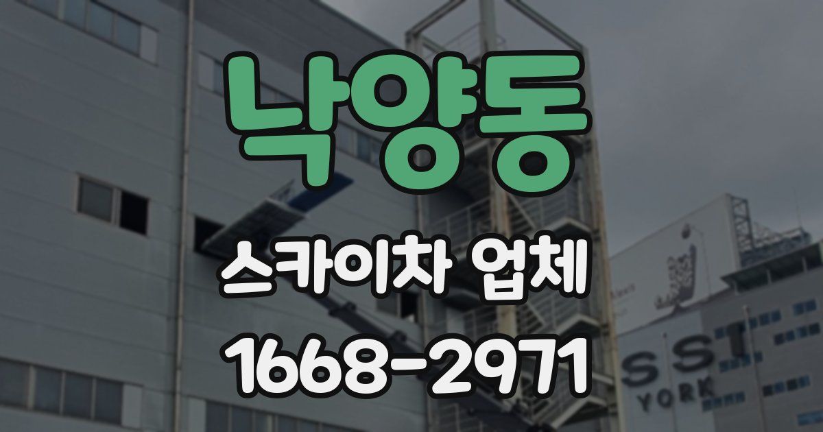 낙양동 스카이차 업체