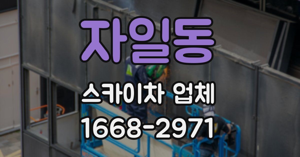 자일동 스카이차 업체
