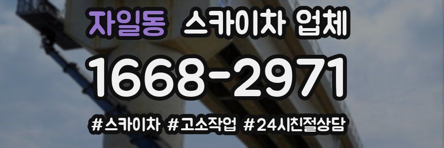 자일동 스카이차 업체