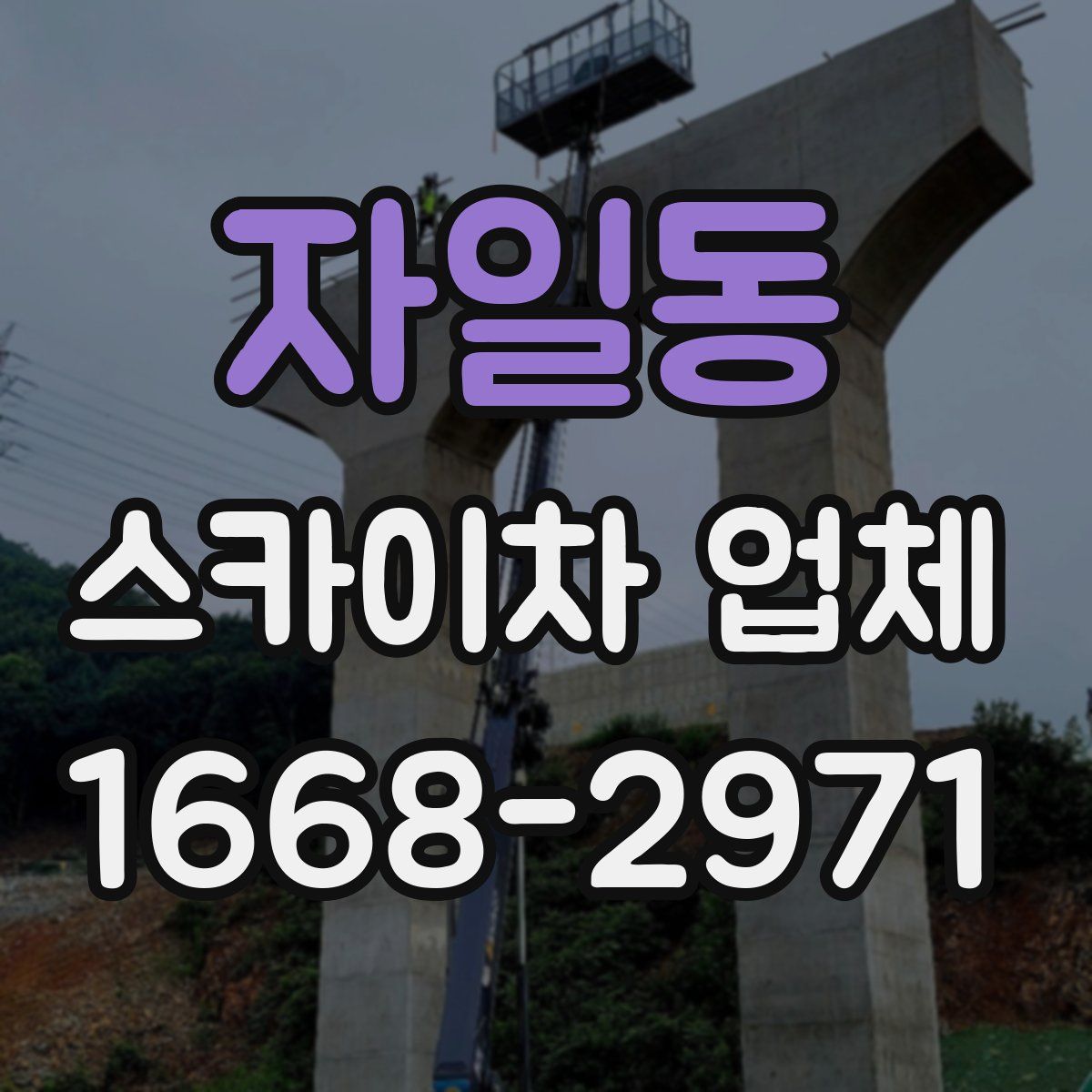 자일동 스카이차 업체