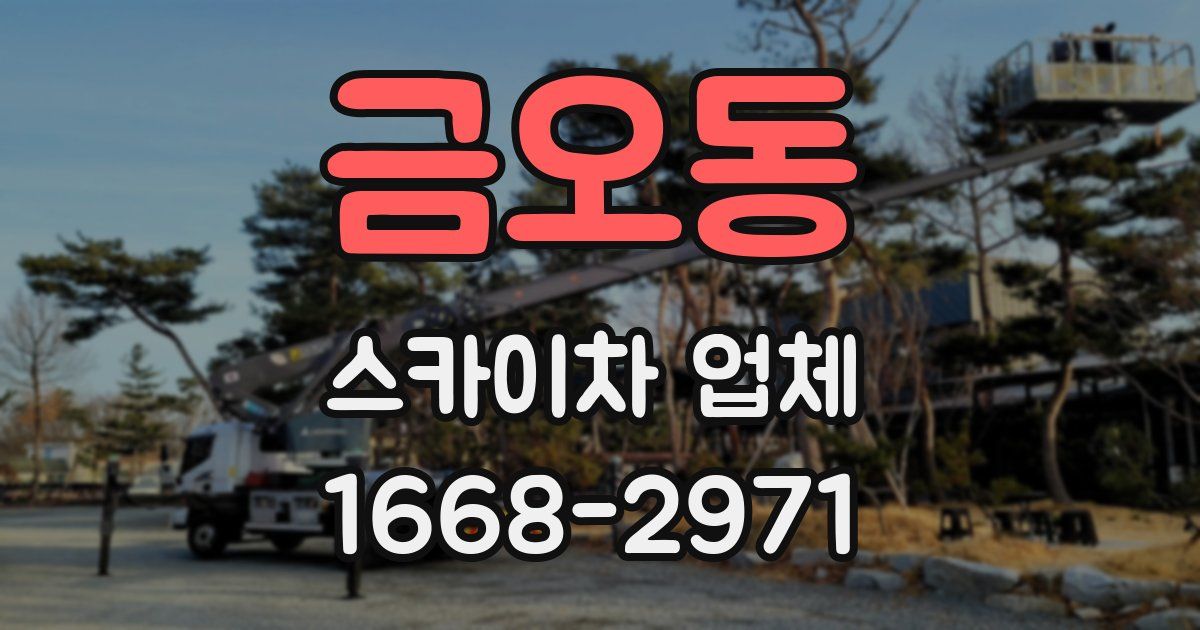 금오동 스카이차 업체