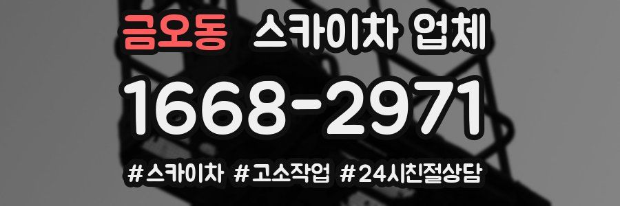 금오동 스카이차 업체