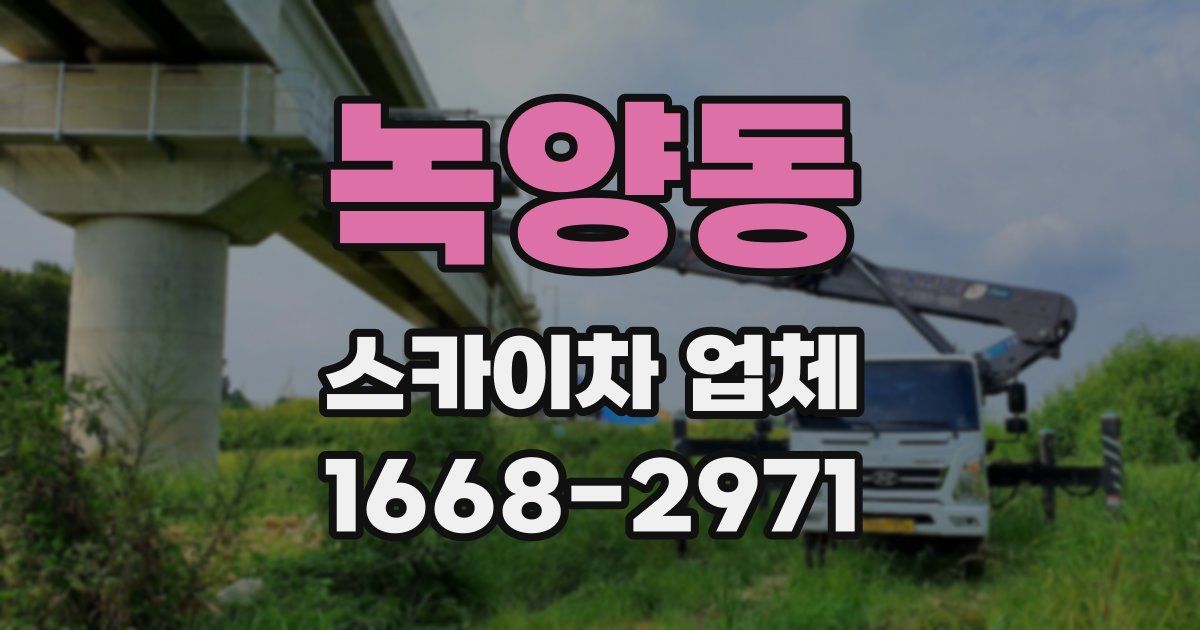 녹양동 스카이차 업체