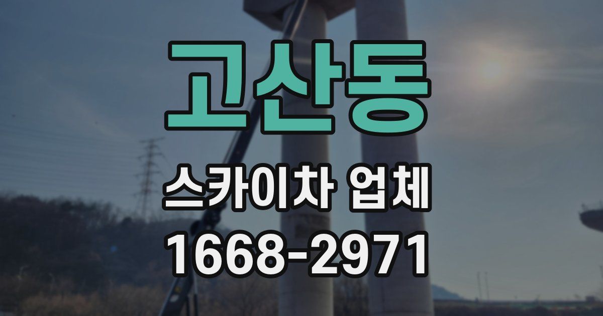 고산동 스카이차 업체