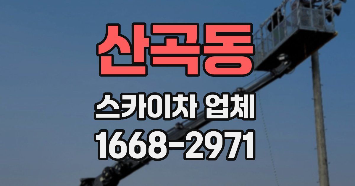 산곡동 스카이차 업체