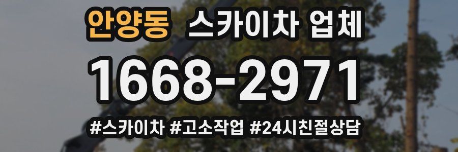안양동 스카이차 업체