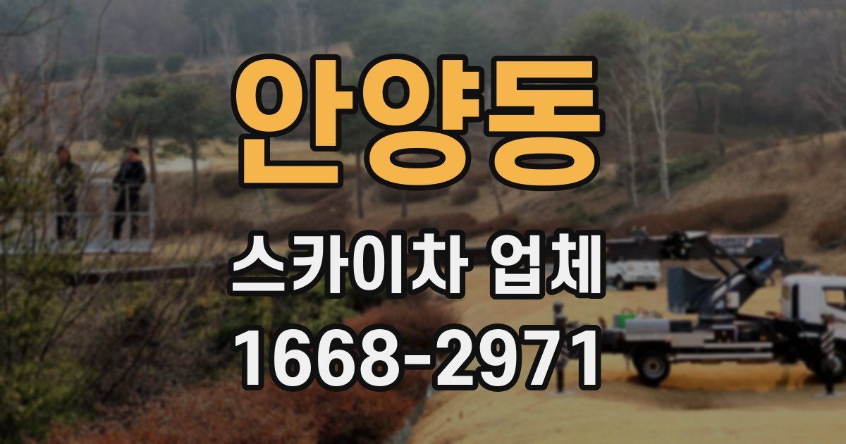 안양동 스카이차 업체