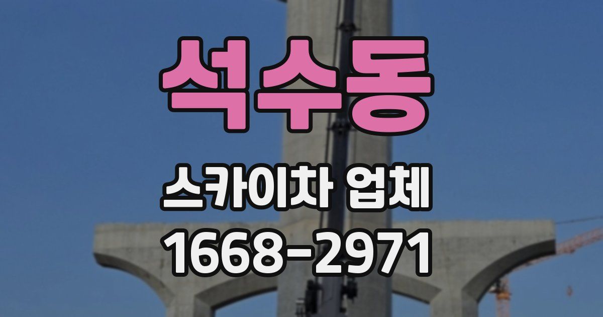 석수동 스카이차 업체
