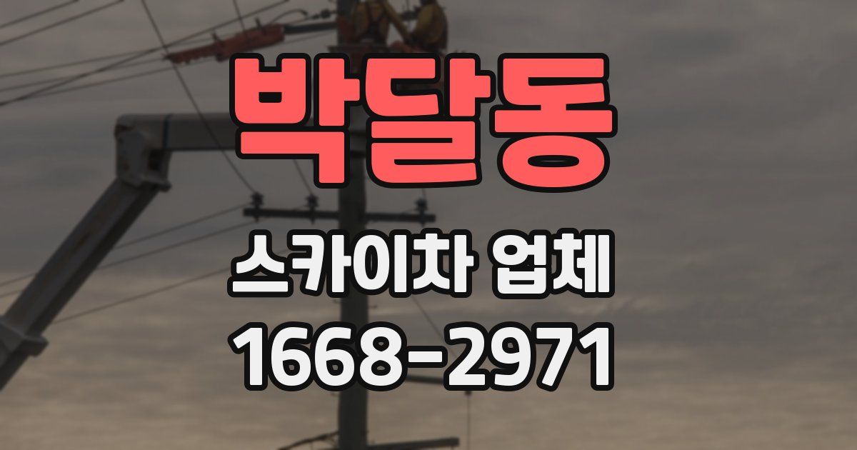 박달동 스카이차 업체