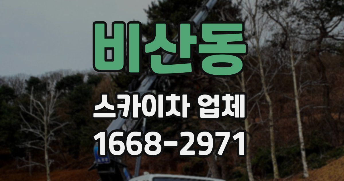 비산동 스카이차 업체