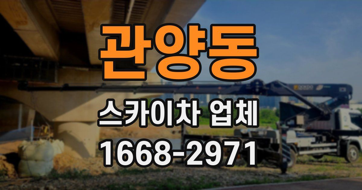 관양동 스카이차 업체