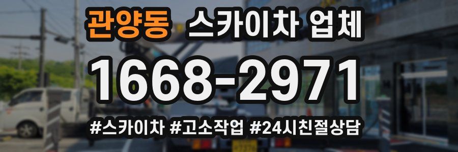 관양동 스카이차 업체