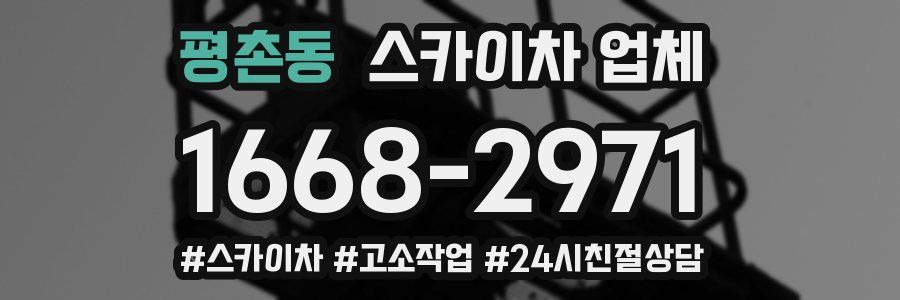 평촌동 스카이차 업체