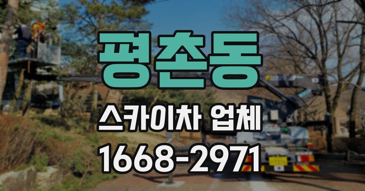 평촌동 스카이차 업체