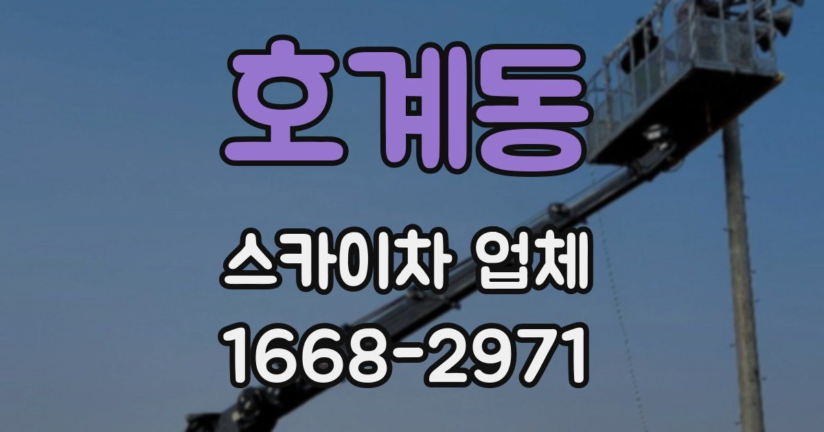 호계동 스카이차 업체