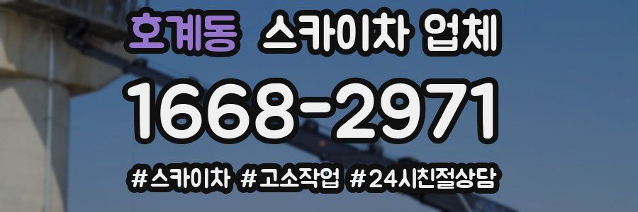호계동 스카이차 업체