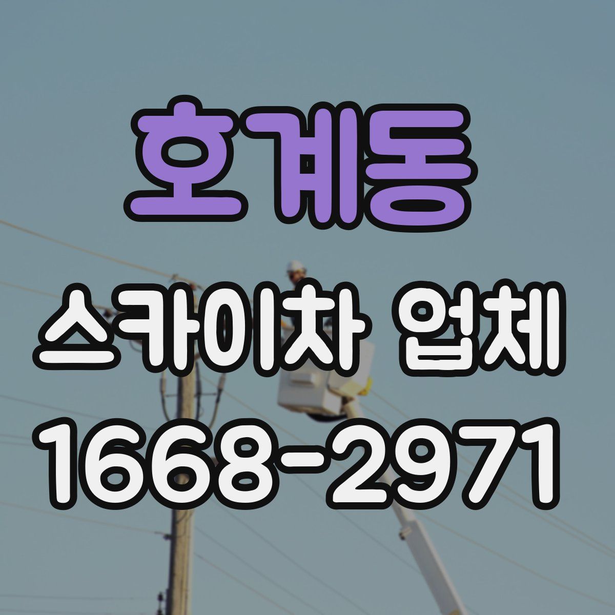 호계동 스카이차 업체