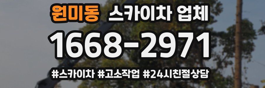 원미동 스카이차 업체