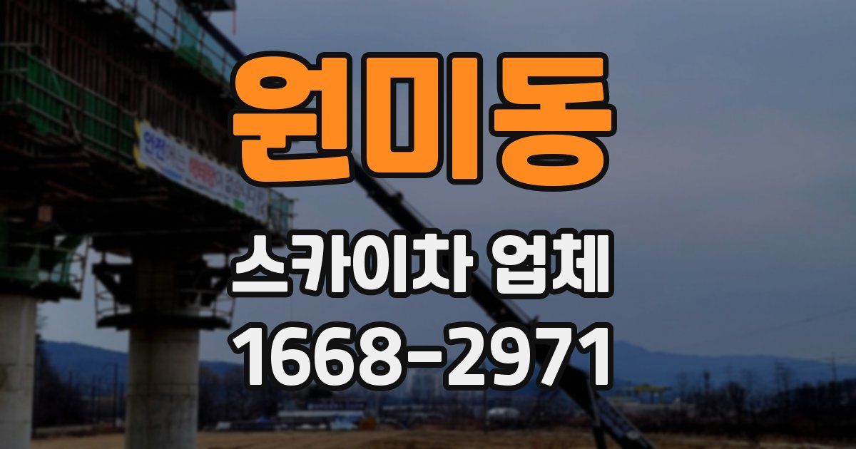 원미동 스카이차 업체