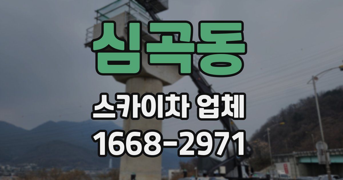 심곡동 스카이차 업체