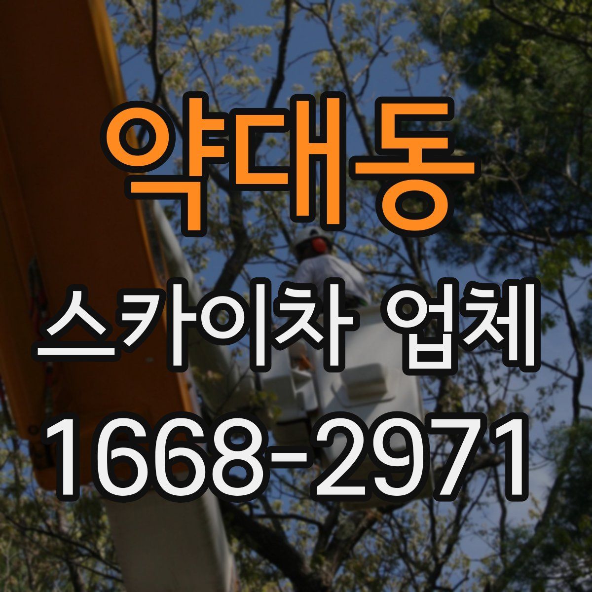 약대동 스카이차 업체