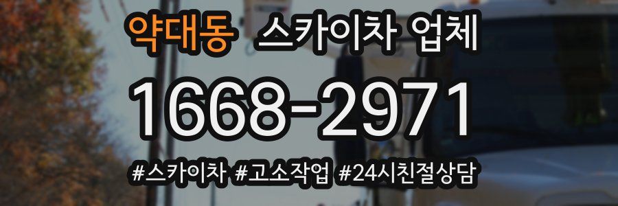 약대동 스카이차 업체
