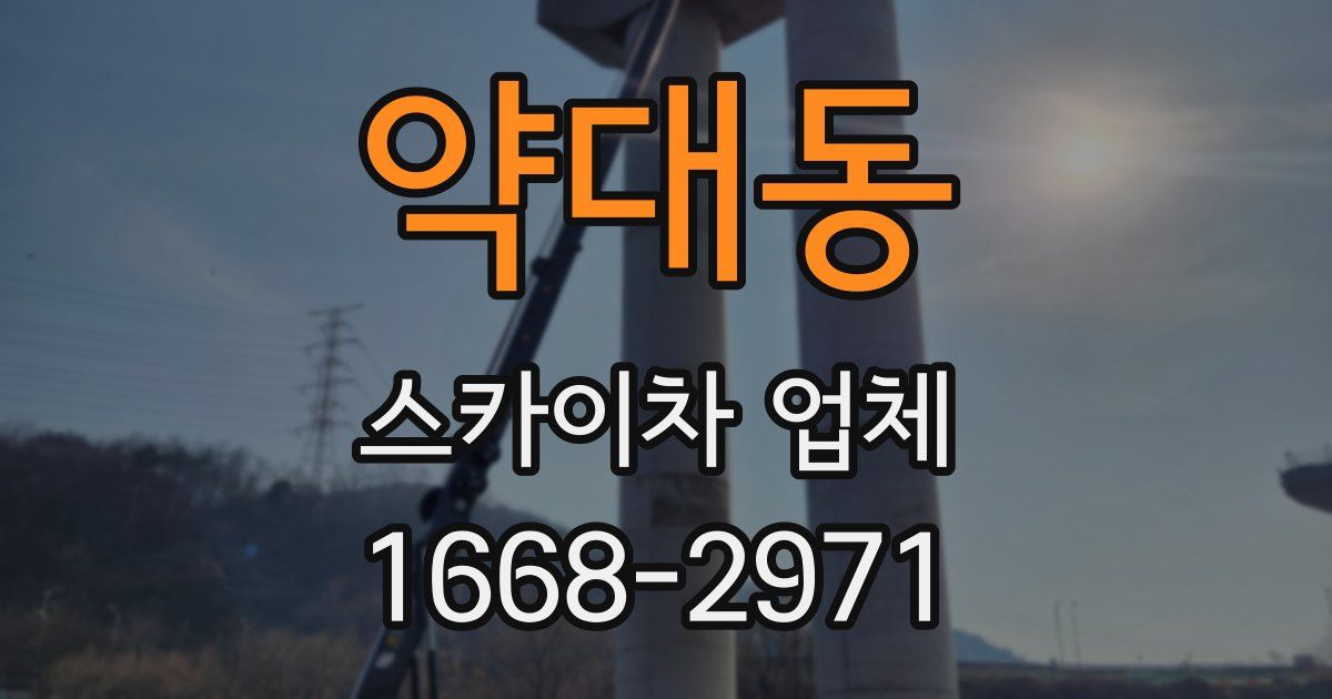 약대동 스카이차 업체