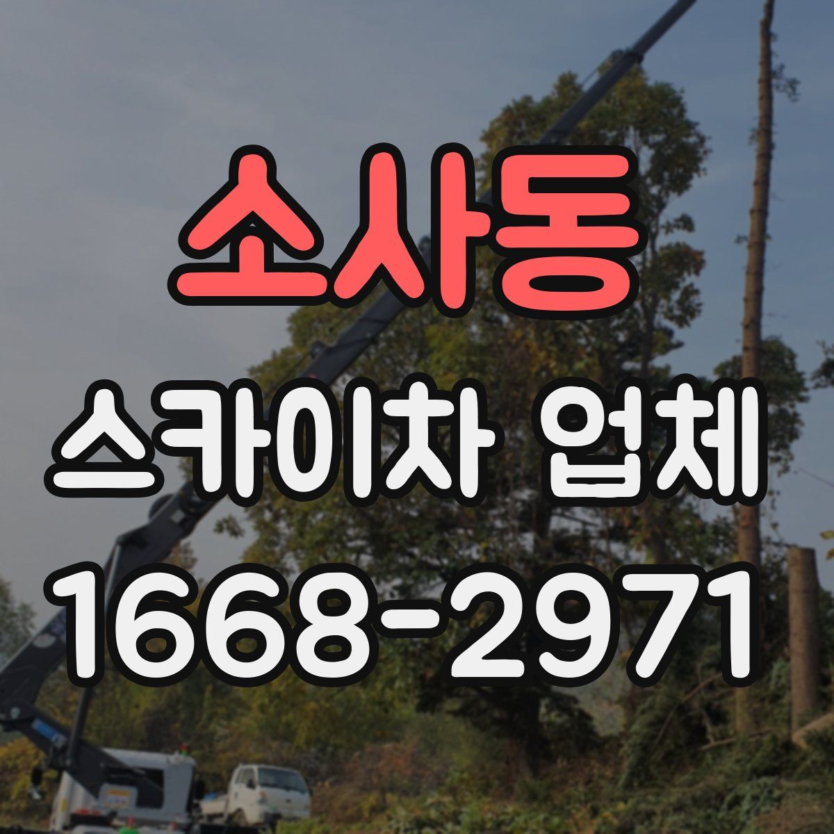 소사동 스카이차 업체