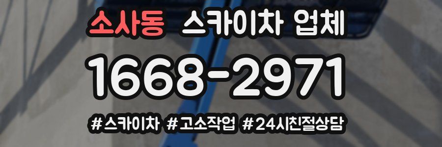 소사동 스카이차 업체