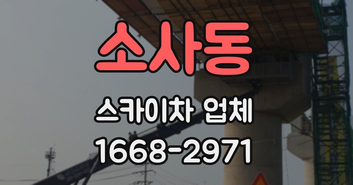 소사동 스카이차 업체