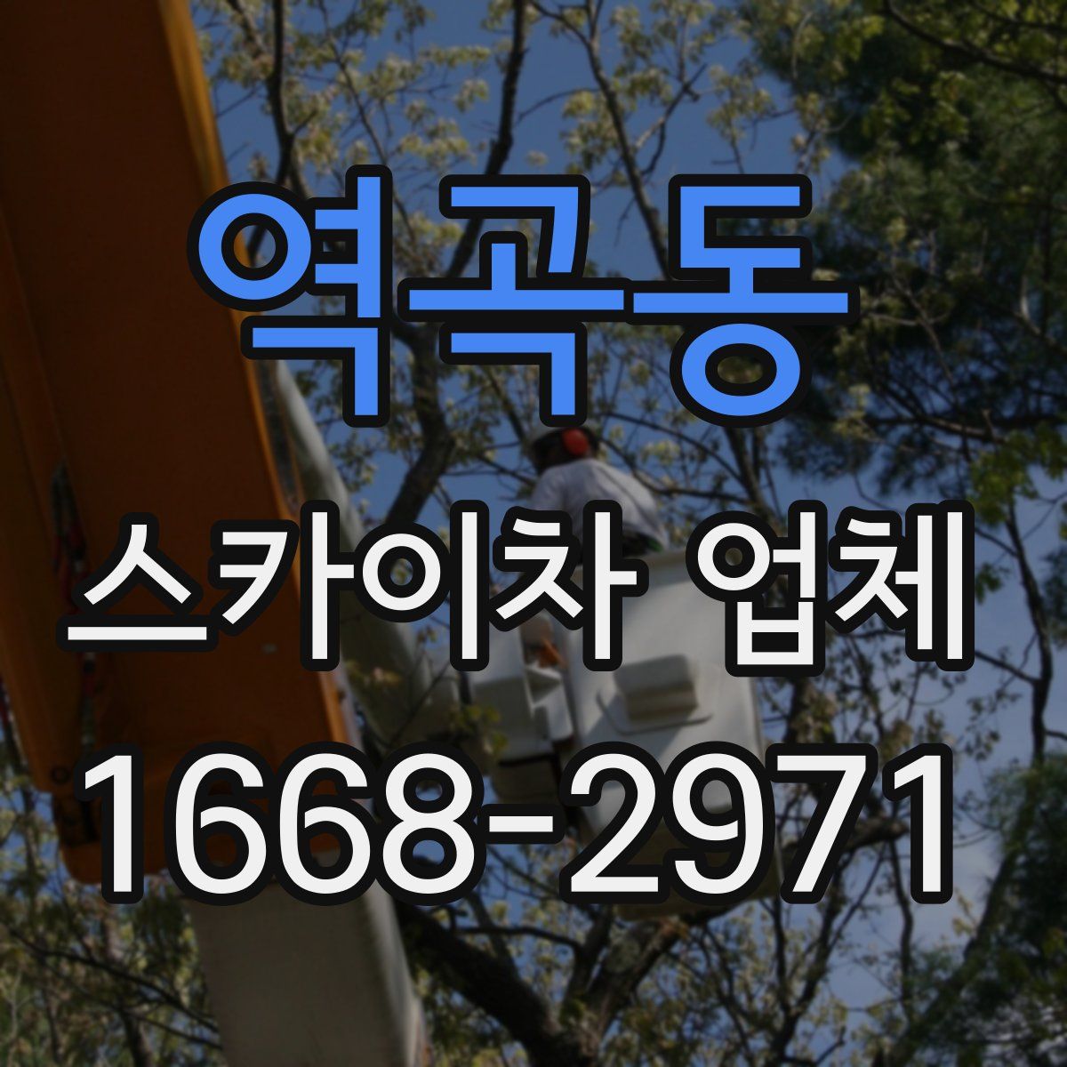 역곡동 스카이차 업체