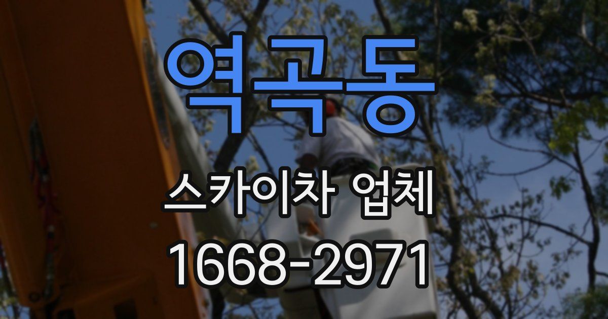 역곡동 스카이차 업체