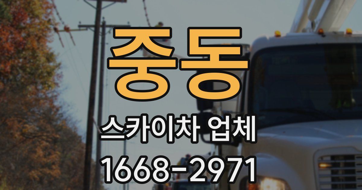 중동 스카이차 업체
