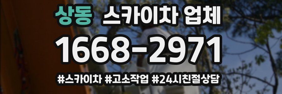 상동 스카이차 업체