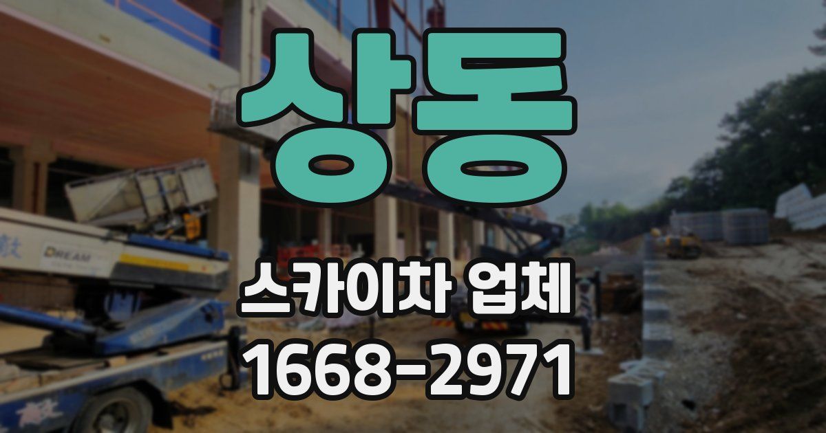 상동 스카이차 업체