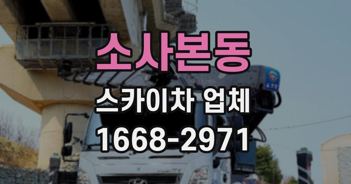 소사본동 스카이차 업체