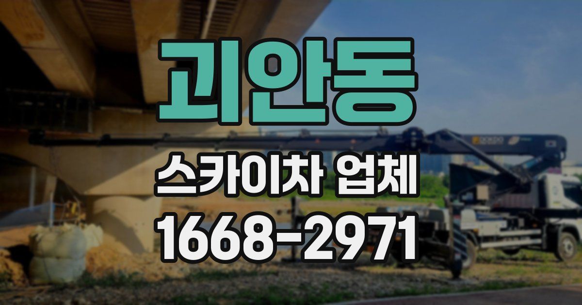 괴안동 스카이차 업체