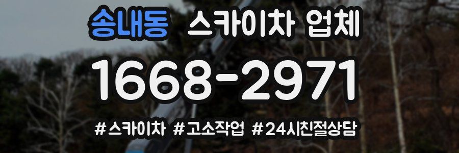 송내동 스카이차 업체