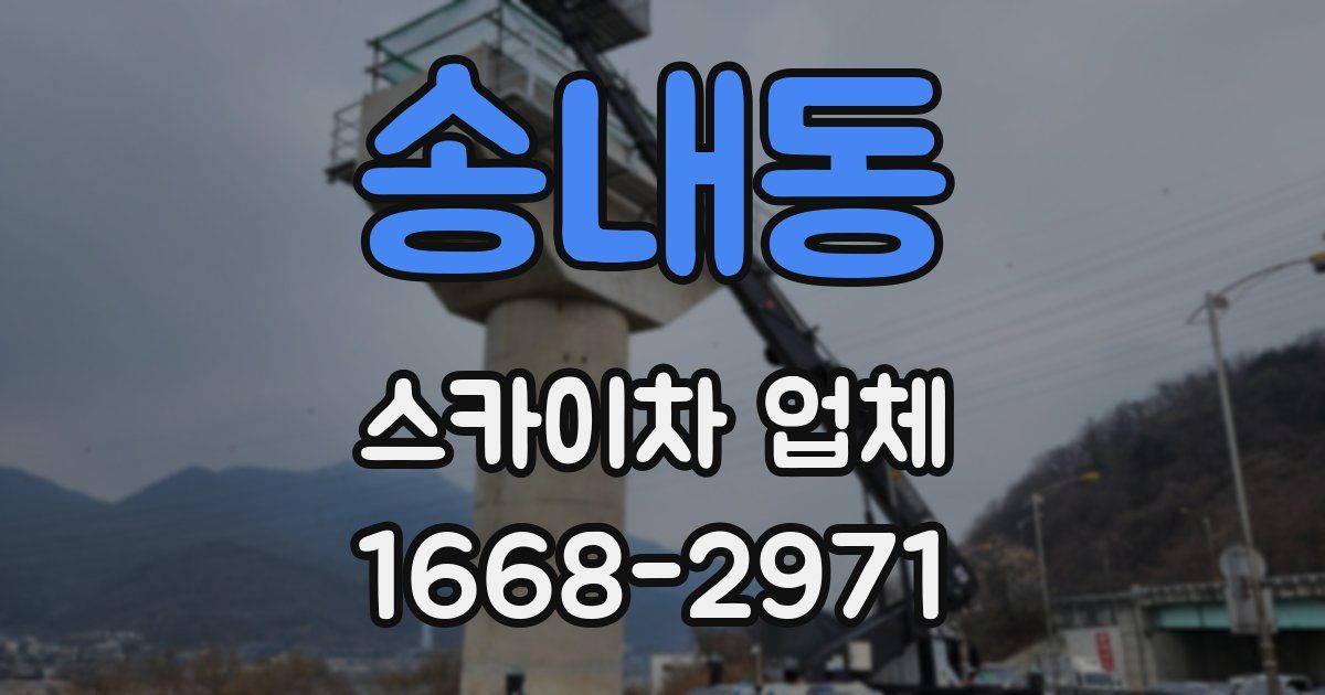 송내동 스카이차 업체