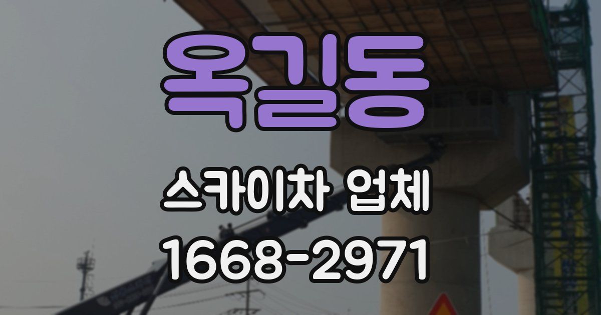 옥길동 스카이차 업체