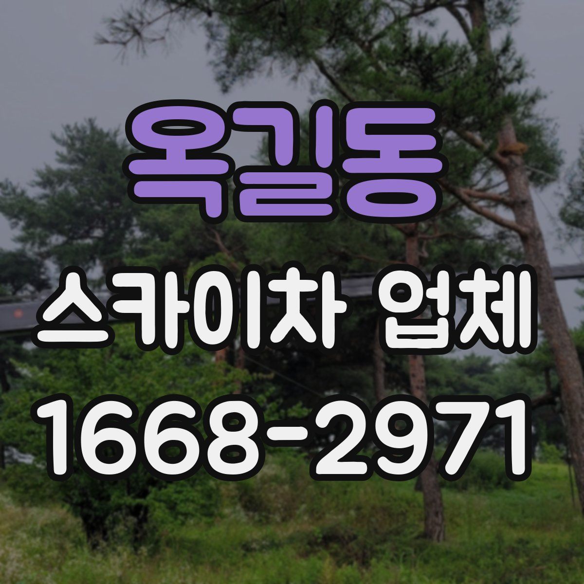 옥길동 스카이차 업체