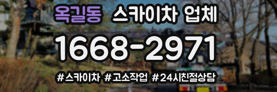 옥길동 스카이차 업체