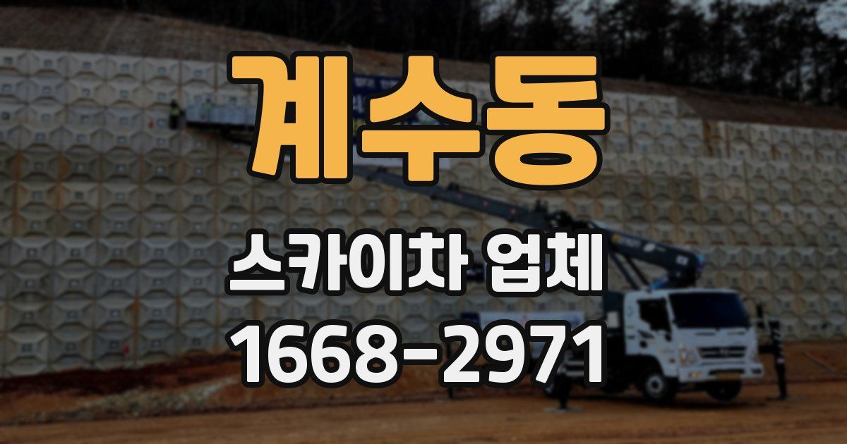 계수동 스카이차 업체