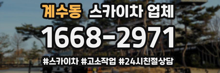 계수동 스카이차 업체