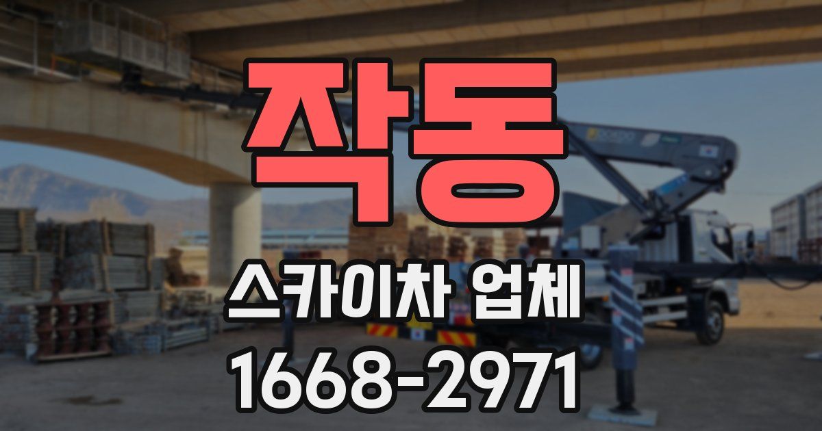 작동 스카이차 업체