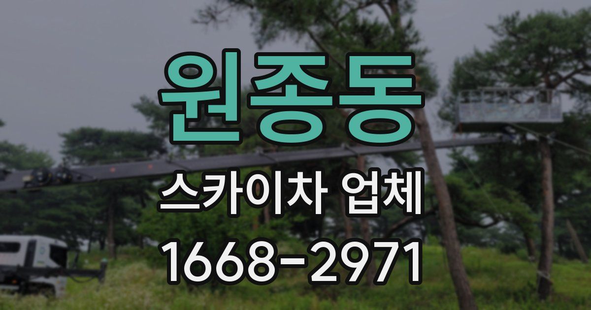 원종동 스카이차 업체