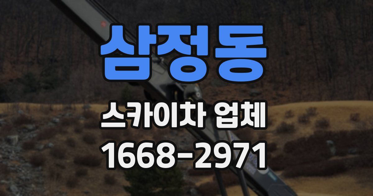 삼정동 스카이차 업체