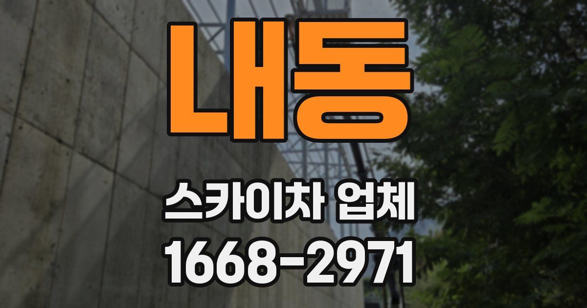 내동 스카이차 업체